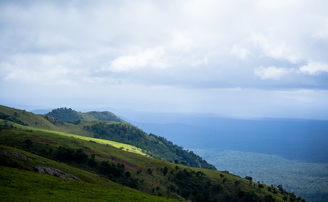 官宣与这位 官宣与这位