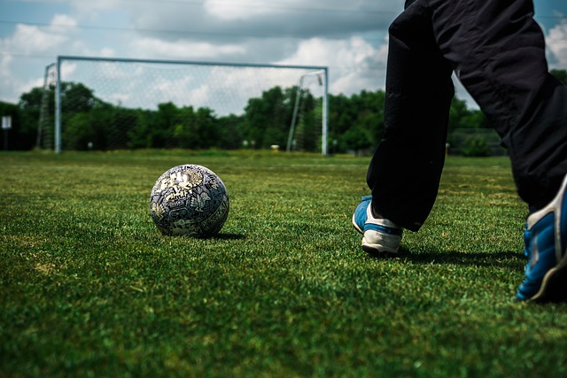 了自己实力 了自己实力